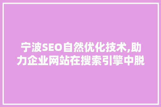 宁波SEO自然优化技术,助力企业网站在搜索引擎中脱颖而出