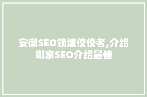 安徽SEO领域佼佼者,介绍哪家SEO介绍最佳
