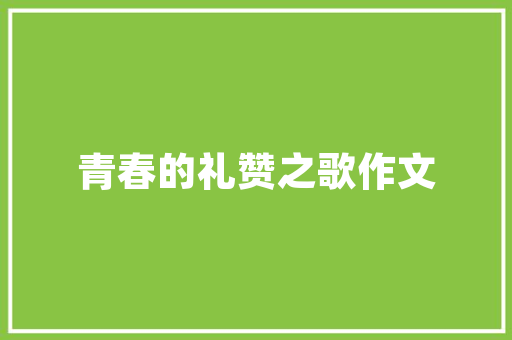 射阳SEO优化网络推广,助力企业乘风破浪，抢占互联网市场先机