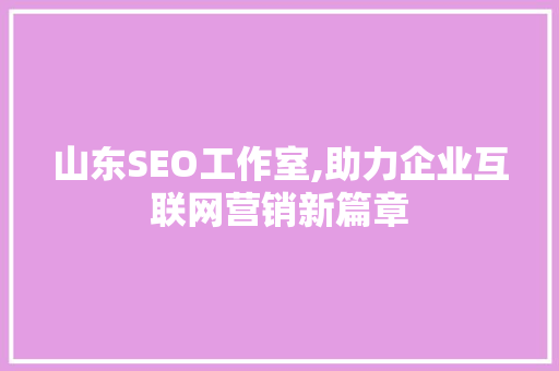 山东SEO工作室,助力企业互联网营销新篇章