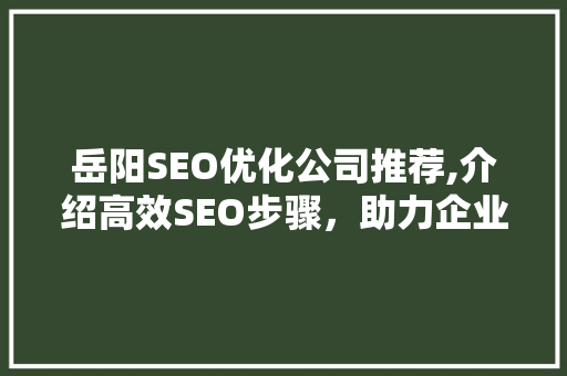 岳阳SEO优化公司推荐,介绍高效SEO步骤，助力企业网站腾飞