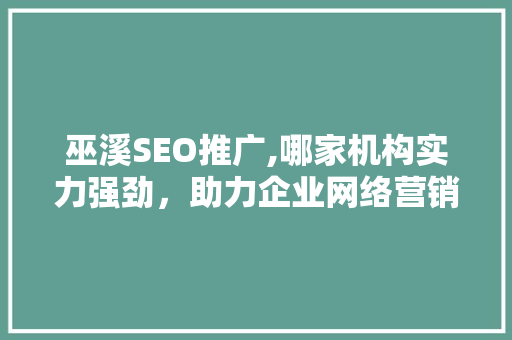 巫溪SEO推广,哪家机构实力强劲，助力企业网络营销腾飞