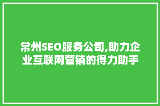 常州SEO服务公司,助力企业互联网营销的得力助手