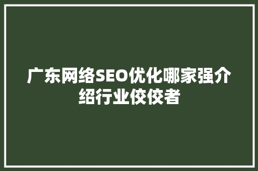 广东网络SEO优化哪家强介绍行业佼佼者