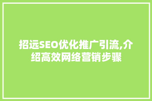 招远SEO优化推广引流,介绍高效网络营销步骤