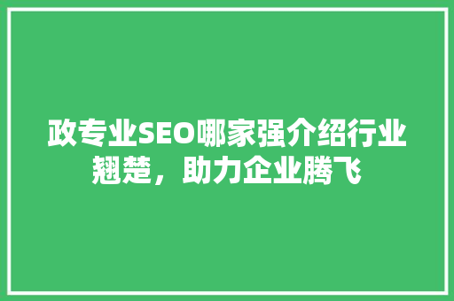 政专业SEO哪家强介绍行业翘楚，助力企业腾飞
