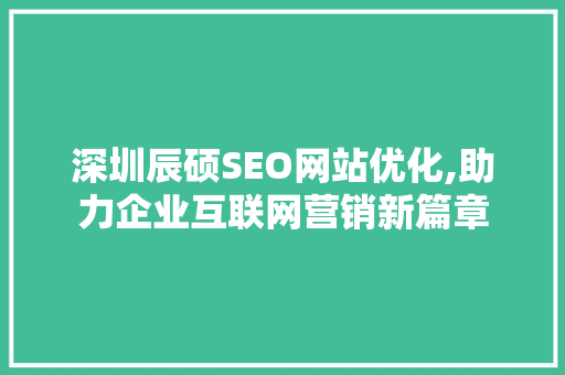 深圳辰硕SEO网站优化,助力企业互联网营销新篇章