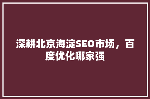 深耕北京海淀SEO市场，百度优化哪家强