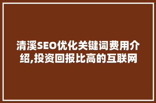 清溪SEO优化关键词费用介绍,投资回报比高的互联网营销步骤