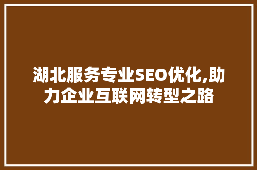 湖北服务专业SEO优化,助力企业互联网转型之路