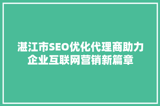湛江市SEO优化代理商助力企业互联网营销新篇章