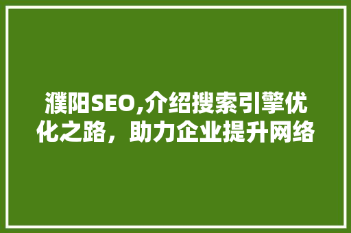 濮阳SEO,介绍搜索引擎优化之路，助力企业提升网络竞争力