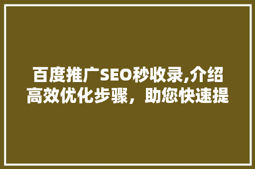 百度推广SEO秒收录,介绍高效优化步骤，助您快速提升网站排名