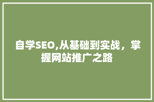 自学SEO,从基础到实战，掌握网站推广之路