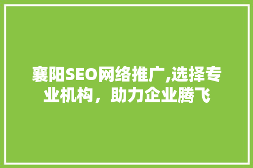 襄阳SEO网络推广,选择专业机构，助力企业腾飞