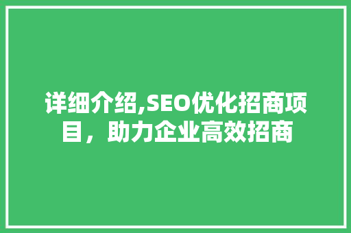 详细介绍,SEO优化招商项目，助力企业高效招商