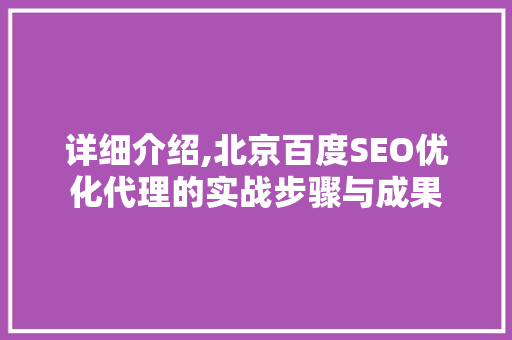 详细介绍,北京百度SEO优化代理的实战步骤与成果