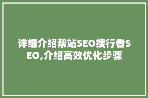 详细介绍帮站SEO搜行者SEO,介绍高效优化步骤