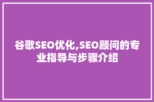 谷歌SEO优化,SEO顾问的专业指导与步骤介绍
