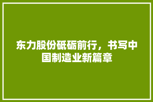 东力股份砥砺前行，书写中国制造业新篇章