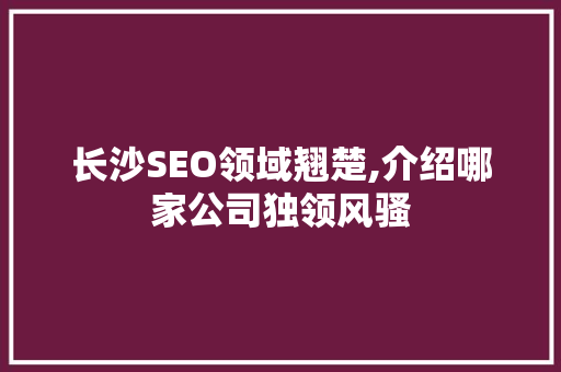 长沙SEO领域翘楚,介绍哪家公司独领风骚