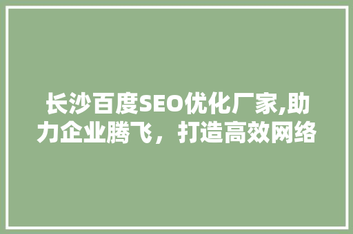 长沙百度SEO优化厂家,助力企业腾飞，打造高效网络营销步骤