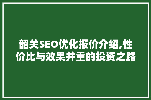 韶关SEO优化报价介绍,性价比与效果并重的投资之路
