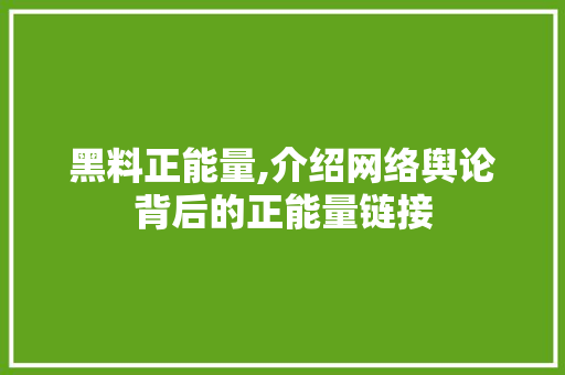 黑料正能量,介绍网络舆论背后的正能量链接