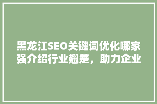黑龙江SEO关键词优化哪家强介绍行业翘楚，助力企业腾飞