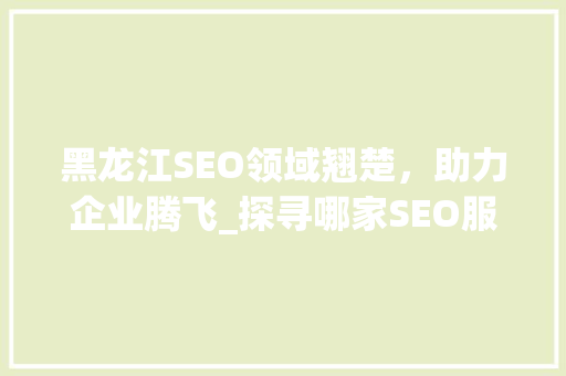 黑龙江SEO领域翘楚，助力企业腾飞_探寻哪家SEO服务商最优