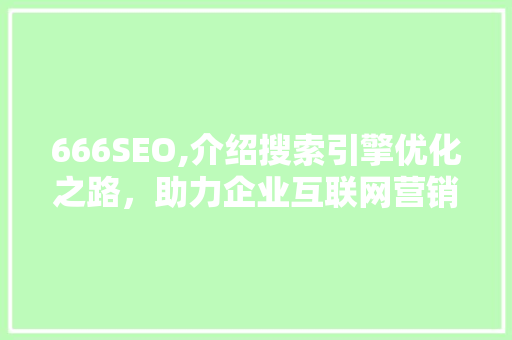 666SEO,介绍搜索引擎优化之路，助力企业互联网营销