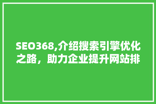 SEO368,介绍搜索引擎优化之路，助力企业提升网站排名