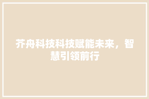 芥舟科技科技赋能未来，智慧引领前行