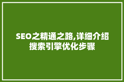 SEO之精通之路,详细介绍搜索引擎优化步骤