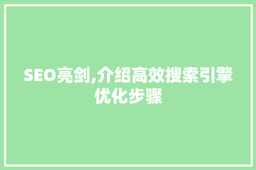 SEO亮剑,介绍高效搜索引擎优化步骤