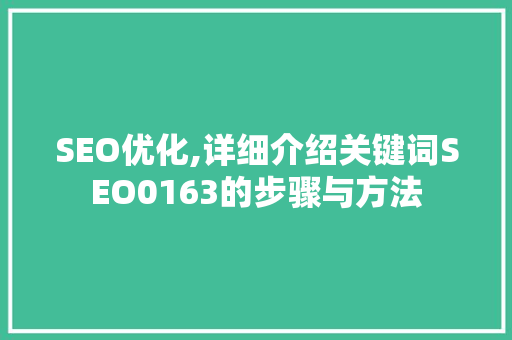 SEO优化,详细介绍关键词SEO0163的步骤与方法