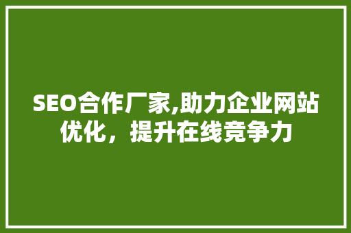 SEO合作厂家,助力企业网站优化，提升在线竞争力