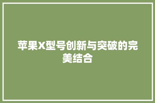 苹果X型号创新与突破的完美结合
