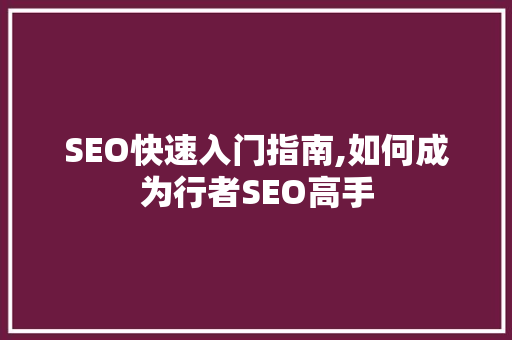 SEO快速入门指南,如何成为行者SEO高手