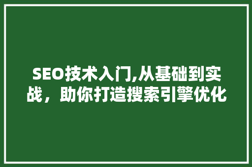 SEO技术入门,从基础到实战，助你打造搜索引擎优化高手