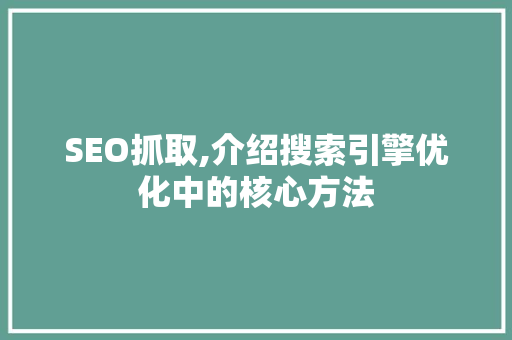 SEO抓取,介绍搜索引擎优化中的核心方法