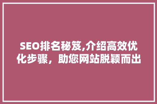 SEO排名秘笈,介绍高效优化步骤，助您网站脱颖而出  第1张