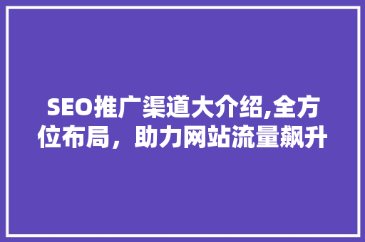 SEO推广渠道大介绍,全方位布局，助力网站流量飙升