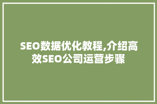 SEO数据优化教程,介绍高效SEO公司运营步骤