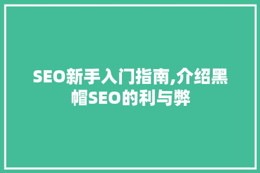 SEO新手入门指南,介绍黑帽SEO的利与弊