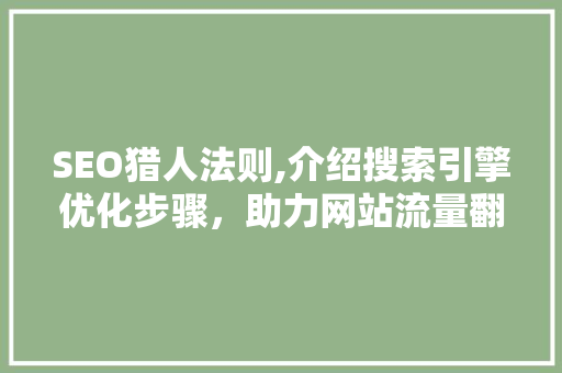 SEO猎人法则,介绍搜索引擎优化步骤，助力网站流量翻倍