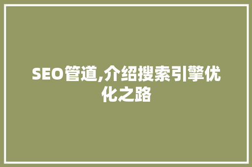 SEO管道,介绍搜索引擎优化之路