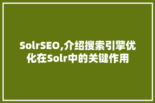 SolrSEO,介绍搜索引擎优化在Solr中的关键作用
