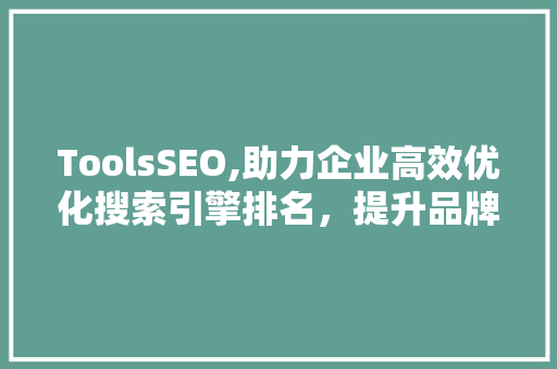 ToolsSEO,助力企业高效优化搜索引擎排名，提升品牌影响力