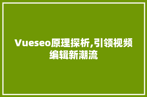 Vueseo原理探析,引领视频编辑新潮流